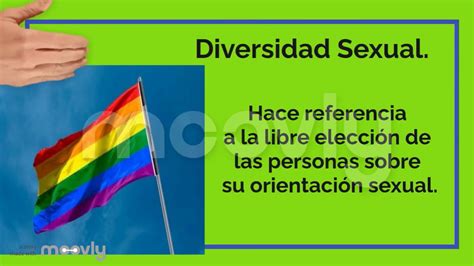 ¿cuáles Son Los 4 Tipos De Diversidad Valetry