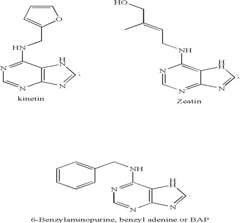 13 Structures Of Synthetic Cytokinins Newman 2014 Download Scientific Diagram