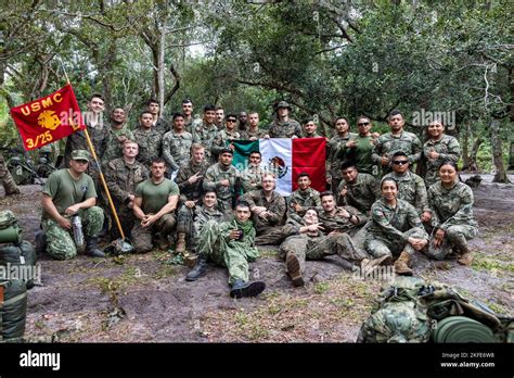 U S Marines With Lima Company 3rd Battalion 25th Marine Regiment And