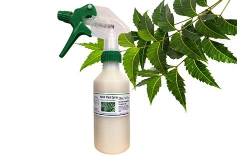 Neem Oil Organic Plant Spray The Aromatherapy Shop Ltd