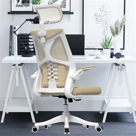 Monhey Ergonomic Office Chair Office Chair With Lumbar Support