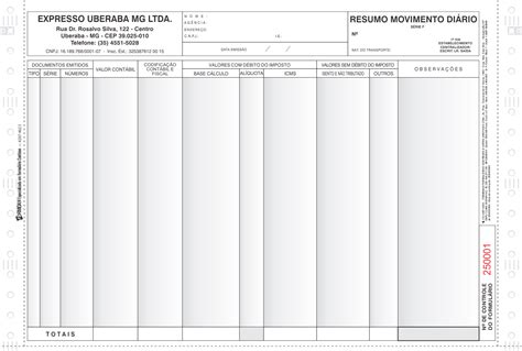 Resumo de Movimento Diário Formidan Formulários Contínuos