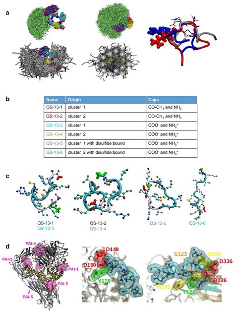 Molecular Dynamics Simulation And Docking Of The Qs Peptide A The