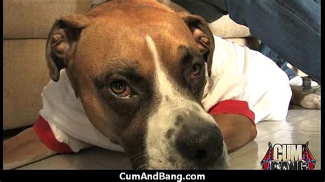 Ebony Beauty Takes On A Gang Of Ivory Hunks And Ends Up Covered In Hot