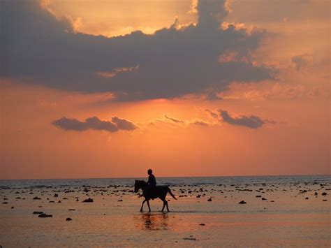 Horseback Riding Beach Sunset - Free photo on Pixabay - Pixabay