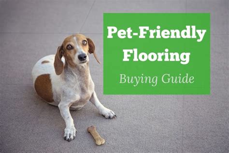 Pet Friendly Flooring Buying Guide The Best Floors For Paws Claws And