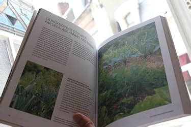 Amazon fr Les cultures associées au potager Guide visuel des bonnes