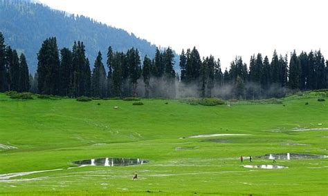 Budgam District 2024: Best Places to Visit - Tripadvisor