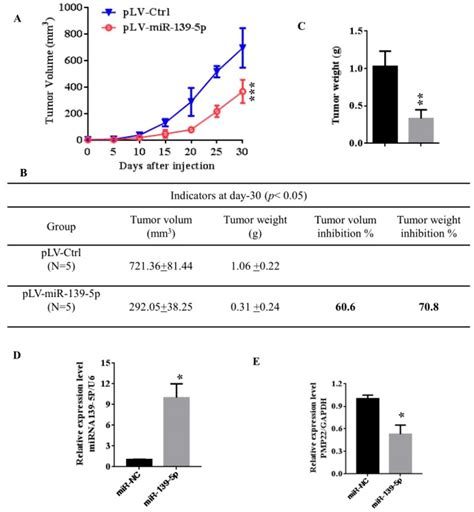 MiR 139 5p Suppresses Tumorigenicity In Vivo In Nude Mice A The