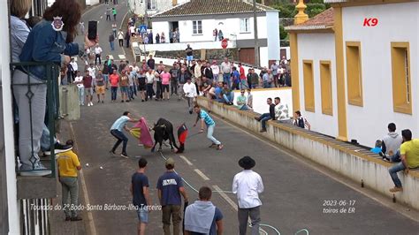 Tourada Corda Do Bodo Santa B Rbara Ilha Terceira Ganadaria Er