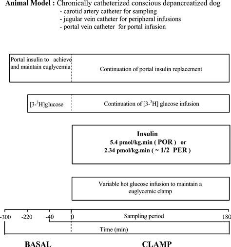 Insulin inhibits glucose production by a direct effect in diabetic