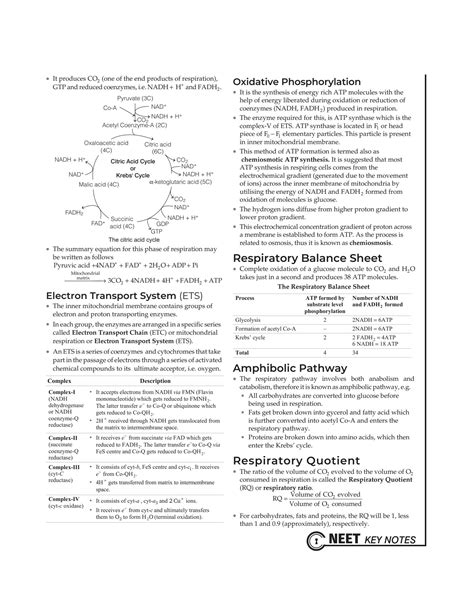 SOLUTION Respiration In Plnts Ncert Mcq Neet Ug Studypool