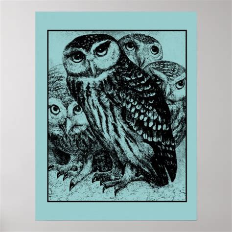 Owl Art Owl Prints Posters Framed Art And More