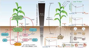 Polyethylene Microplastics Can Attenuate Soil Carbon Sequestration By