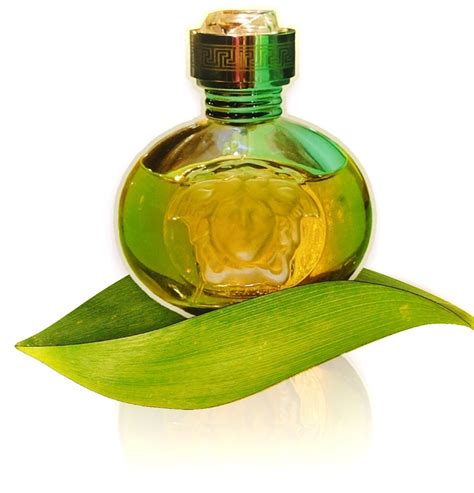 Blonde Versace Perfume A Fragrance For Women