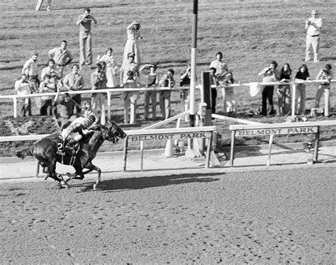 Affirmed 1978 History Of Triple Crown Winners Triple Crown Triple