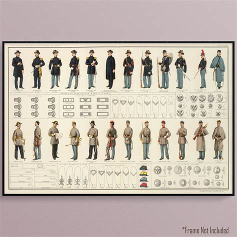 U.S. War Department Diagram From 1895 Showing the Uniforms and Insignia of the Union and ...