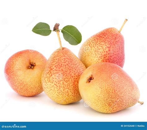 Ripe Pear Fruit Royalty Free Stock Photos Image 34152648