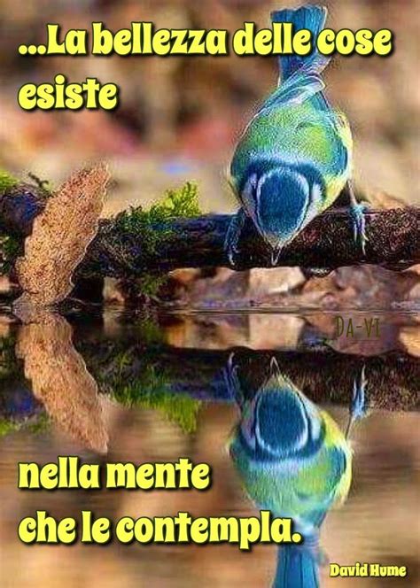 Pin di sara su frasi Citazioni sagge Buon mercoledì Buongiorno