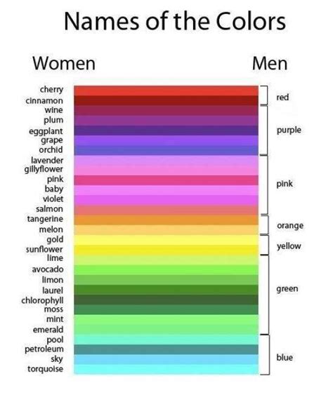 Colors Men Vs Women Fun Inventors