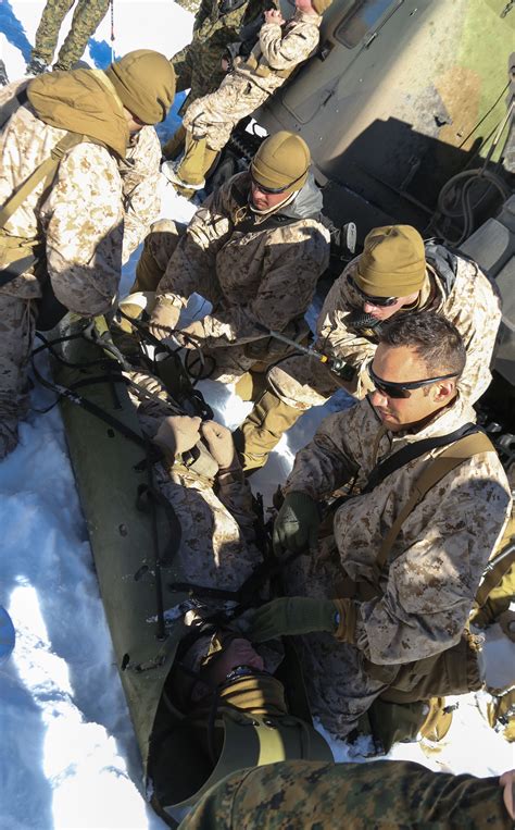 Warlords Learn To Fight In Winter Environment 2nd Marine Division