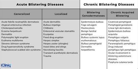 Skin Blisters, A Simple Guide To The Condition, Diagnosis, Treatment ...