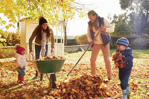 Children Helping Parents To Collect Autumn Leaves In Garden Stock