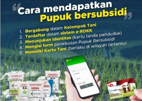 Pupuk Subsidi Hanya Untuk 9 Jenis Tanaman Bagaimana Kelapa Sawit Dan