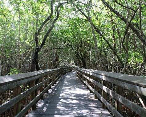 THE 15 BEST Things to Do in Everglades National Park (Updated 2024 ...