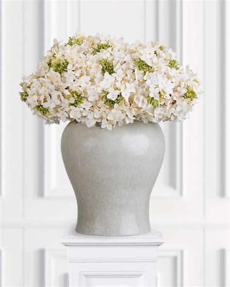 Hydrangea Cut Flower Cream - Newport