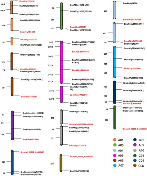 Frontiers Genome Wide Association Study Reveals The Genetic