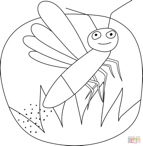 Firefly Coloring Page Free Printable Coloring Pages