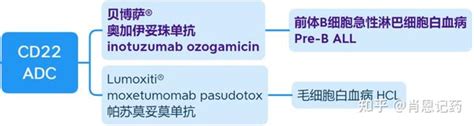 记住所有FDA生物药 靶向CD22 ADC 贝博萨奥加伊妥珠单抗moxetumomab pasudotox 知乎