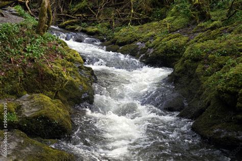 Fast Flowing Stream