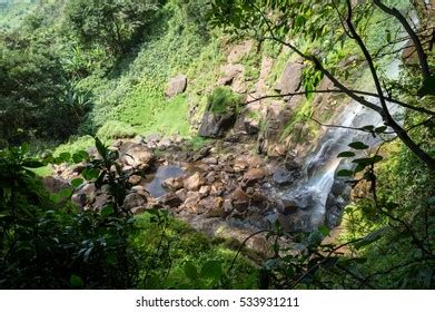 150 Cameroon Waterfalls Images, Stock Photos & Vectors | Shutterstock