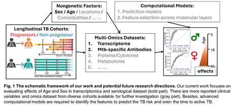 Systems Immunology Unravels The Agesex Effects On The Immune Correlates Of Tuberculosis Tb