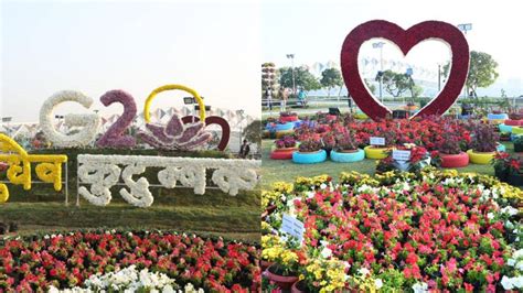 PM Narendra Modi Shares Beautiful Photos Of Sabarmati Riverfront Flower ...