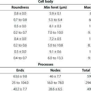 Microglial Phenotypes Display Significant Differences In Cell Body And