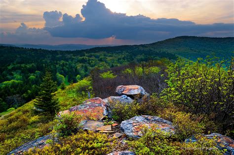 Spring in the Allegheny Mountains USA [OC] : MostBeautiful