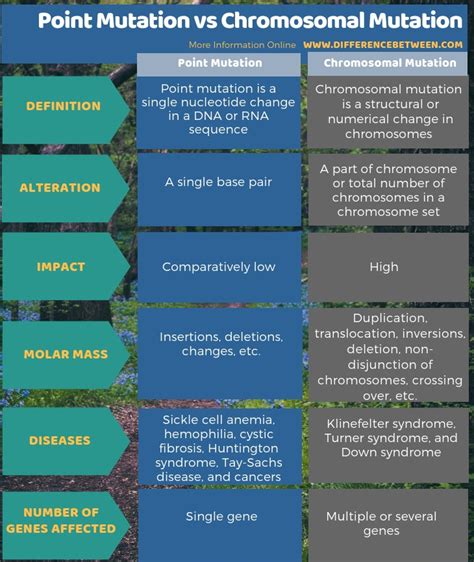 Difference Between Point Mutation and Chromosomal Mutation | Compare the Difference Between ...