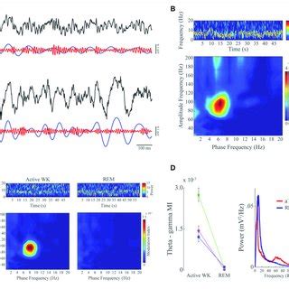 Phase Amplitude CFC Between Theta And Gamma In MPFC During Active