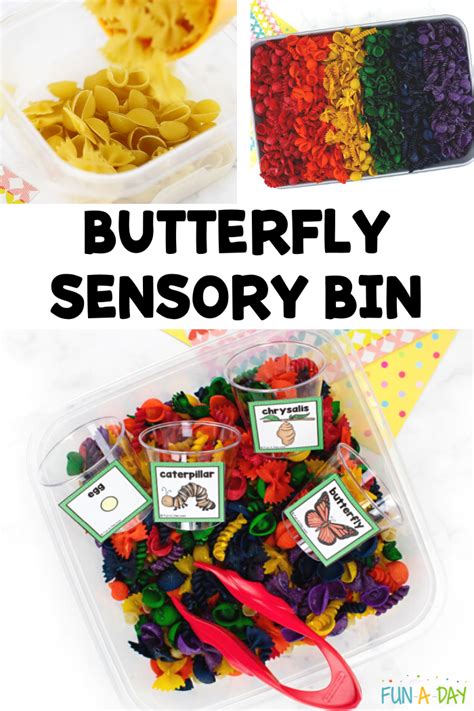 Butterfly Sensory Bin And Sorting Activity Butterfly Life Cycle