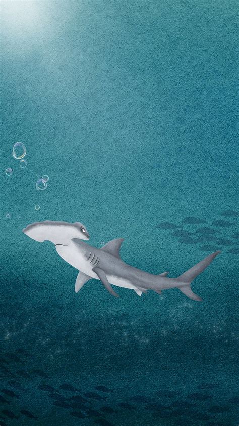 Hammerhead shark iPhone wallpaper background | Premium Photo ...