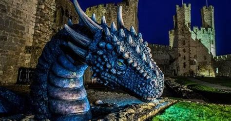 Giant One Tonne Dragon Lands Inside Caernarfon Castle North Wales Live