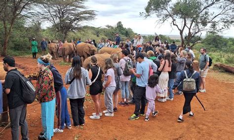 Giraffe Center Karen Blixen Museum Day Tour From Nairobi