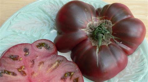 Cherokee Purple The Story Behind One Of Our Favorite Tomatoes The