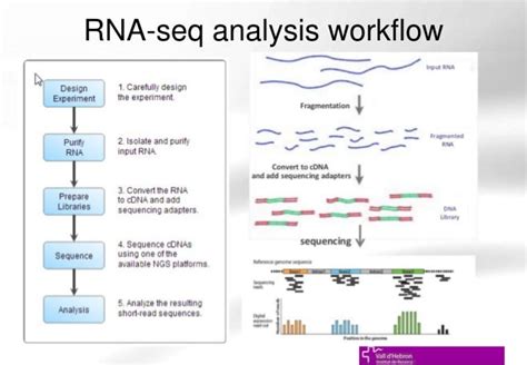 Transcriptomics - EMANUEL PEREZ