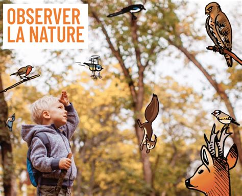 Observer La Nature Sorties En Is Re Avec Les Enfants Par Minizou