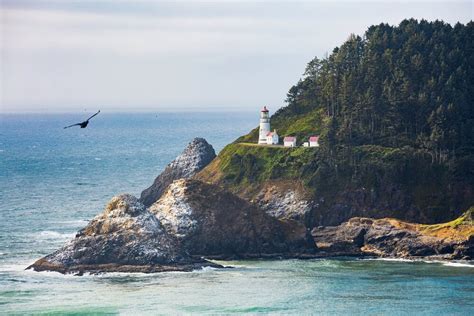 Your Guide to the Oregon Coast Lighthouses - The Inn at Otter Crest