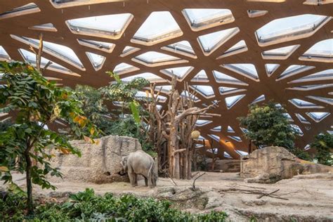 Elephant House Zoo Zürich / Markus Schietsch Architekten | ArchDaily